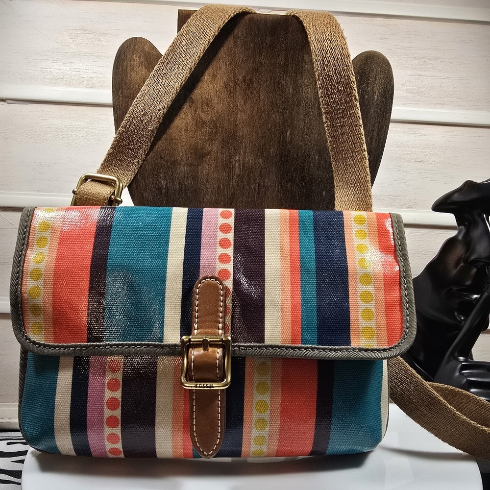 Striped MulticolorFossil Crossbody Bag